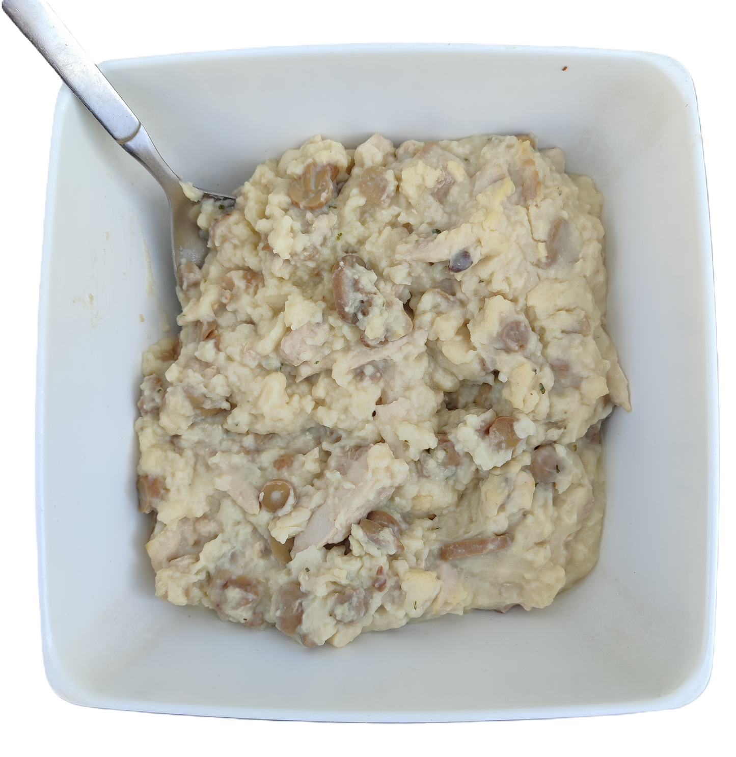 Kip Ragout